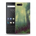 Дизайнерский пластиковый чехол для BlackBerry KEY2 лес