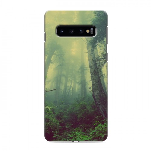 Дизайнерский силиконовый чехол для Samsung Galaxy S10 лес