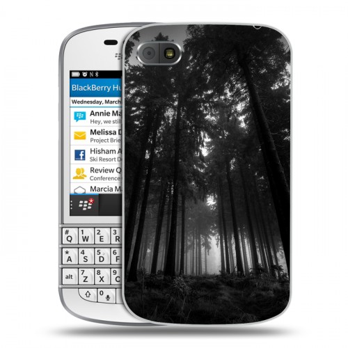 Дизайнерский пластиковый чехол для BlackBerry Q10 лес