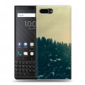 Дизайнерский пластиковый чехол для BlackBerry KEY2 лес