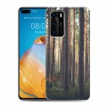 Дизайнерский пластиковый чехол для Huawei P40 лес