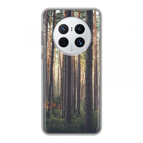 Дизайнерский силиконовый чехол для Huawei Mate 50 Pro лес