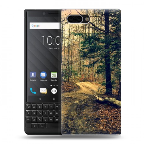 Дизайнерский пластиковый чехол для BlackBerry KEY2 лес