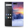 Дизайнерский пластиковый чехол для BlackBerry KEY2 лес