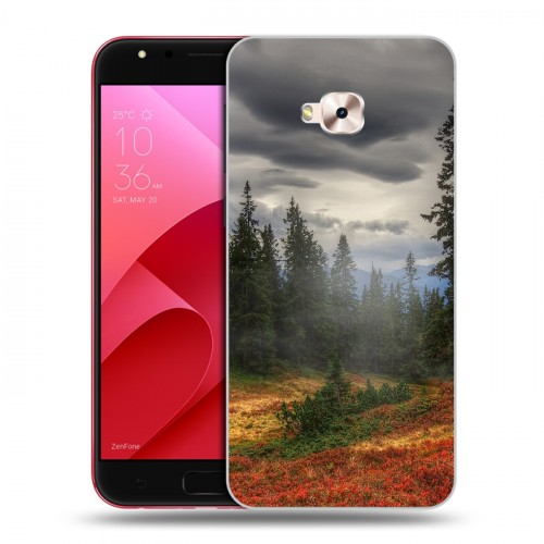Дизайнерский пластиковый чехол для ASUS ZenFone 4 Selfie Pro лес