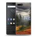 Дизайнерский пластиковый чехол для BlackBerry KEY2 лес