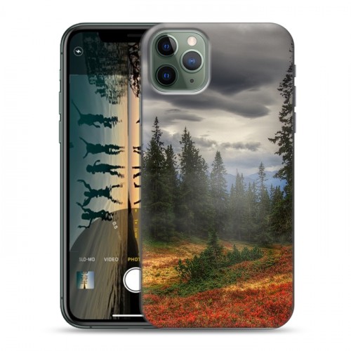 Дизайнерский пластиковый чехол для Iphone 11 Pro Max лес