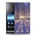 Дизайнерский пластиковый чехол для Sony Xperia S зима