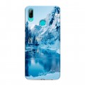 Дизайнерский пластиковый чехол для Huawei Y7 (2019) зима
