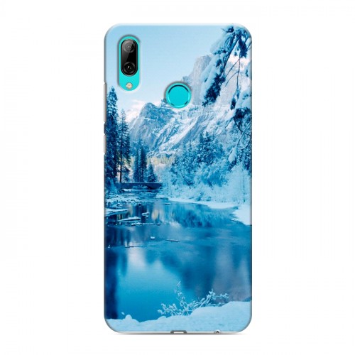 Дизайнерский пластиковый чехол для Huawei Y7 (2019) зима