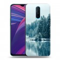 Дизайнерский пластиковый чехол для OPPO RX17 Pro зима