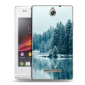 Дизайнерский пластиковый чехол для Sony Xperia E зима