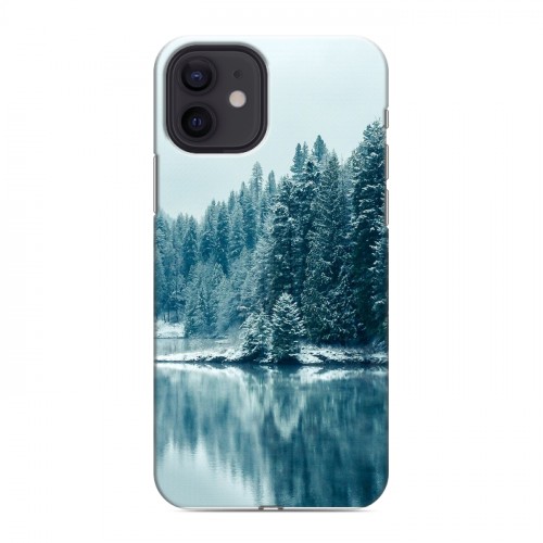 Дизайнерский силиконовый чехол для Iphone 12 зима