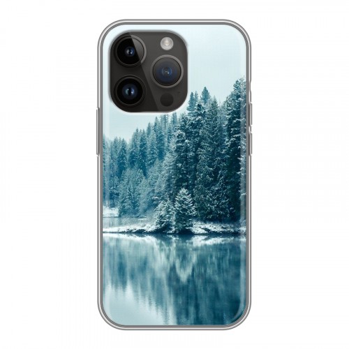 Дизайнерский силиконовый чехол для Iphone 14 Pro зима