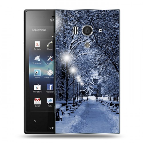 Дизайнерский пластиковый чехол для Sony Xperia acro S зима