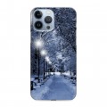 Дизайнерский силиконовый чехол для Iphone 13 Pro Max зима