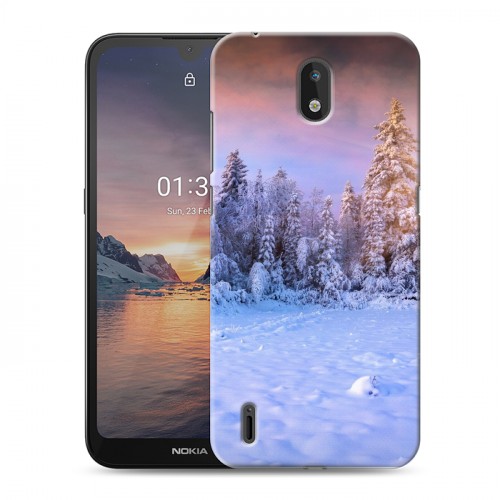 Дизайнерский силиконовый чехол для Nokia 1.3 зима