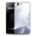 Дизайнерский силиконовый чехол для Doogee X5 зима