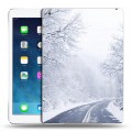 Дизайнерский пластиковый чехол для Ipad (2017) зима