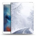 Дизайнерский пластиковый чехол для Ipad Pro зима