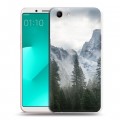 Дизайнерский пластиковый чехол для OPPO A83 горы