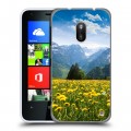 Дизайнерский пластиковый чехол для Nokia Lumia 620 горы