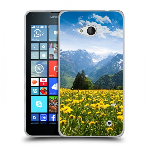 Дизайнерский пластиковый чехол для Microsoft Lumia 640 горы