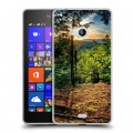 Дизайнерский пластиковый чехол для Microsoft Lumia 540 восход