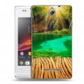 Дизайнерский пластиковый чехол для Sony Xperia E водопады