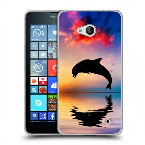 Дизайнерский пластиковый чехол для Microsoft Lumia 640 Закат