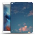 Дизайнерский пластиковый чехол для Ipad Pro Закат