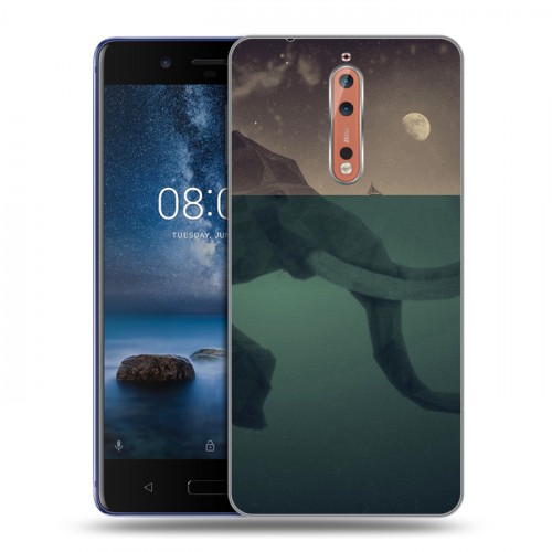 Дизайнерский пластиковый чехол для Nokia 8 айсберг