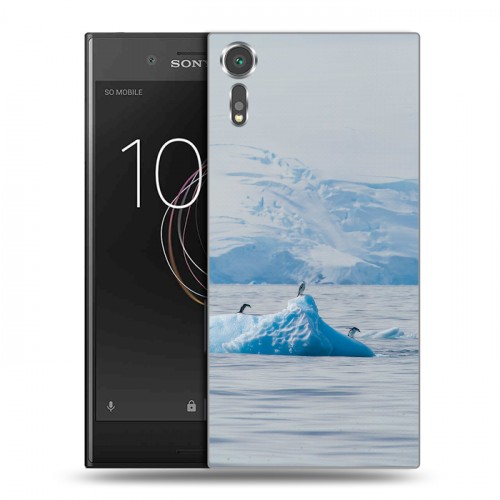 Дизайнерский пластиковый чехол для Sony Xperia XZs айсберг