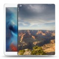 Дизайнерский пластиковый чехол для Ipad Pro каньоны