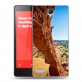 Дизайнерский силиконовый чехол для Xiaomi RedMi Note каньоны