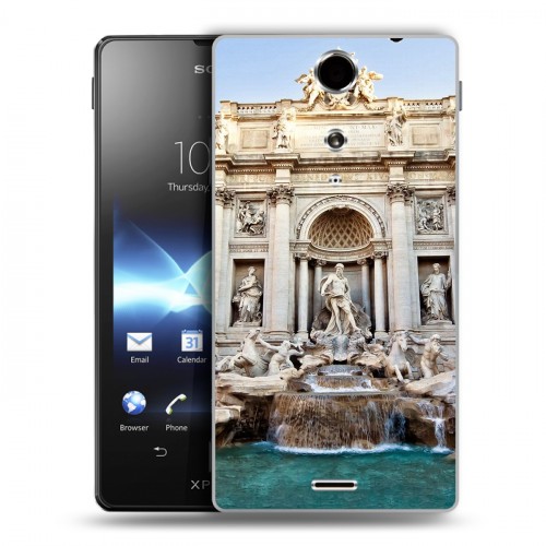 Дизайнерский пластиковый чехол для Sony Xperia TX рим