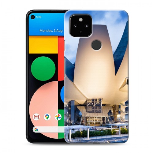 Дизайнерский силиконовый чехол для Google Pixel 4a 5G Сингапур