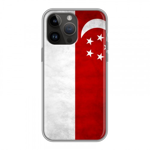 Дизайнерский силиконовый чехол для Iphone 14 Pro Max Сингапур