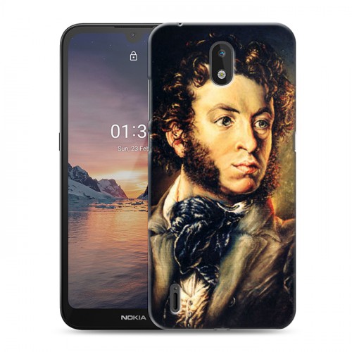 Дизайнерский силиконовый чехол для Nokia 1.3 Пушкин