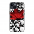 Дизайнерский пластиковый чехол для Iphone 14 флаг Канады