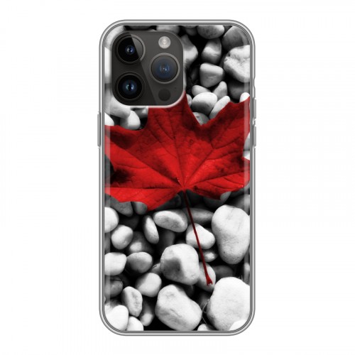 Дизайнерский пластиковый чехол для Iphone 14 Pro Max флаг Канады