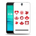 Дизайнерский пластиковый чехол для ASUS ZenFone Go ZB690KG Флаг Канады