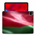 Дизайнерский пластиковый чехол для Ipad Pro 11 (2020) Флаг Белоруссии