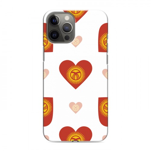 Дизайнерский силиконовый чехол для Iphone 12 Pro Max флаг Киргизии