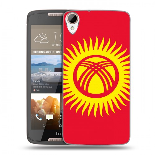 Дизайнерский пластиковый чехол для HTC Desire 828 флаг Киргизии