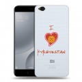 Полупрозрачный дизайнерский пластиковый чехол для Xiaomi Mi5C флаг Киргизии