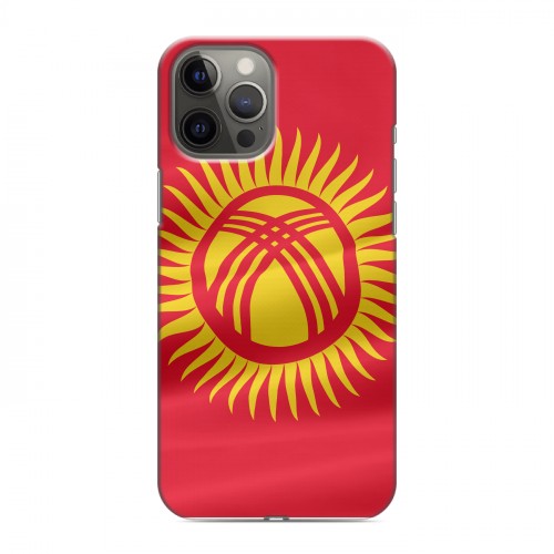 Дизайнерский силиконовый чехол для Iphone 12 Pro Max флаг Киргизии