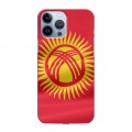 Дизайнерский силиконовый чехол для Iphone 13 Pro Max флаг Киргизии