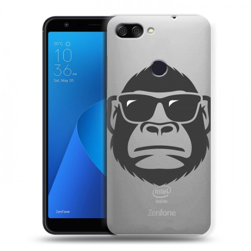 Полупрозрачный дизайнерский пластиковый чехол для ASUS ZenFone Max Plus M1 Прозрачные обезьяны