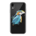 Полупрозрачный дизайнерский силиконовый чехол для Iphone Xr Прозрачные попугаи